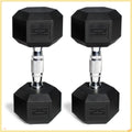 Professional 50lb Hex Dumbbell Set, 2x25lb Weights for Home Gym Strength Training, Fitness & Muscle Building